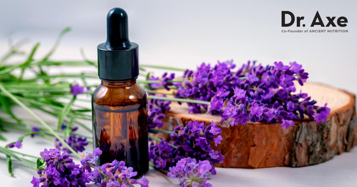 Lavender Oil Benefits and How to Use It Dr. Axe