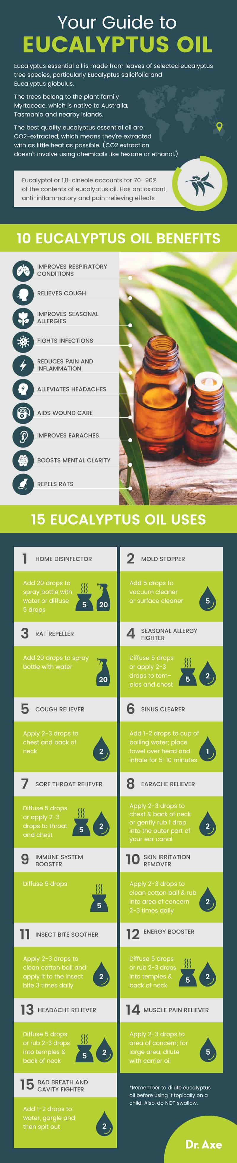 How To Make Eucalyptus Oil