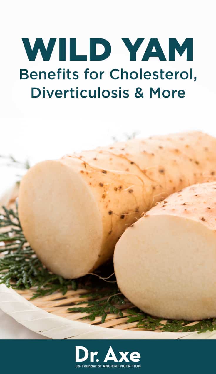 Wild Yam Benefits And Side Effects at Florencio Everman blog