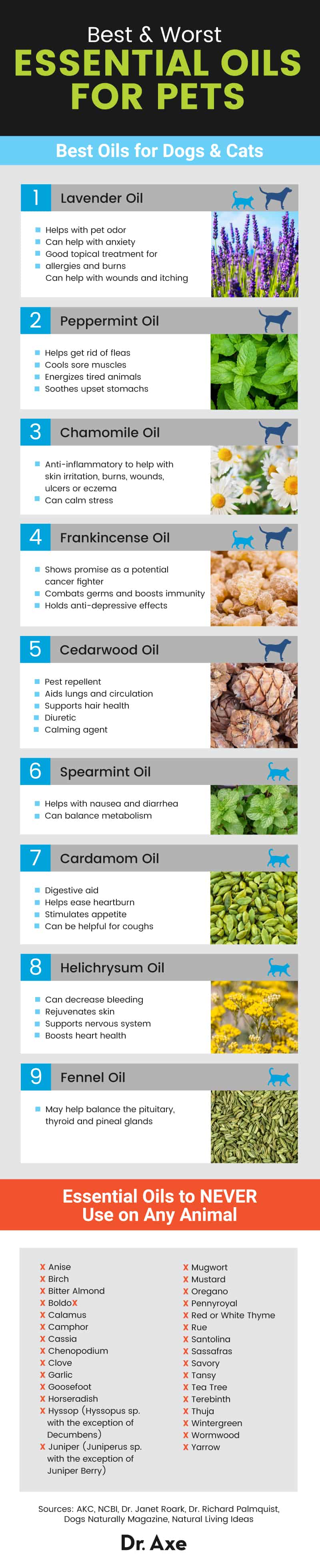 Essential Oils for Pets The Best & Worst Oils to Use Dr. Axe