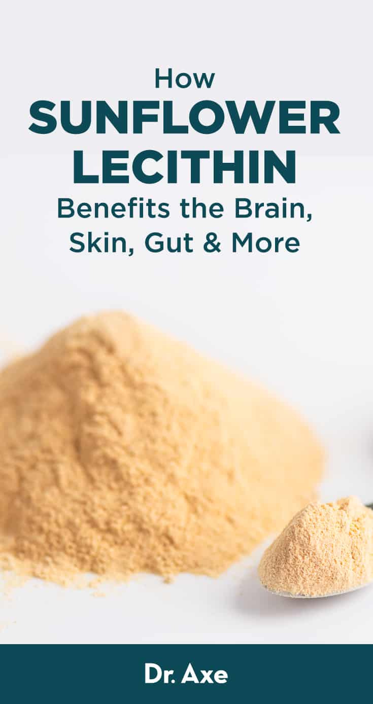 Sunflower Lecithin Benefits, Supplements and Side Effects Dr. Axe