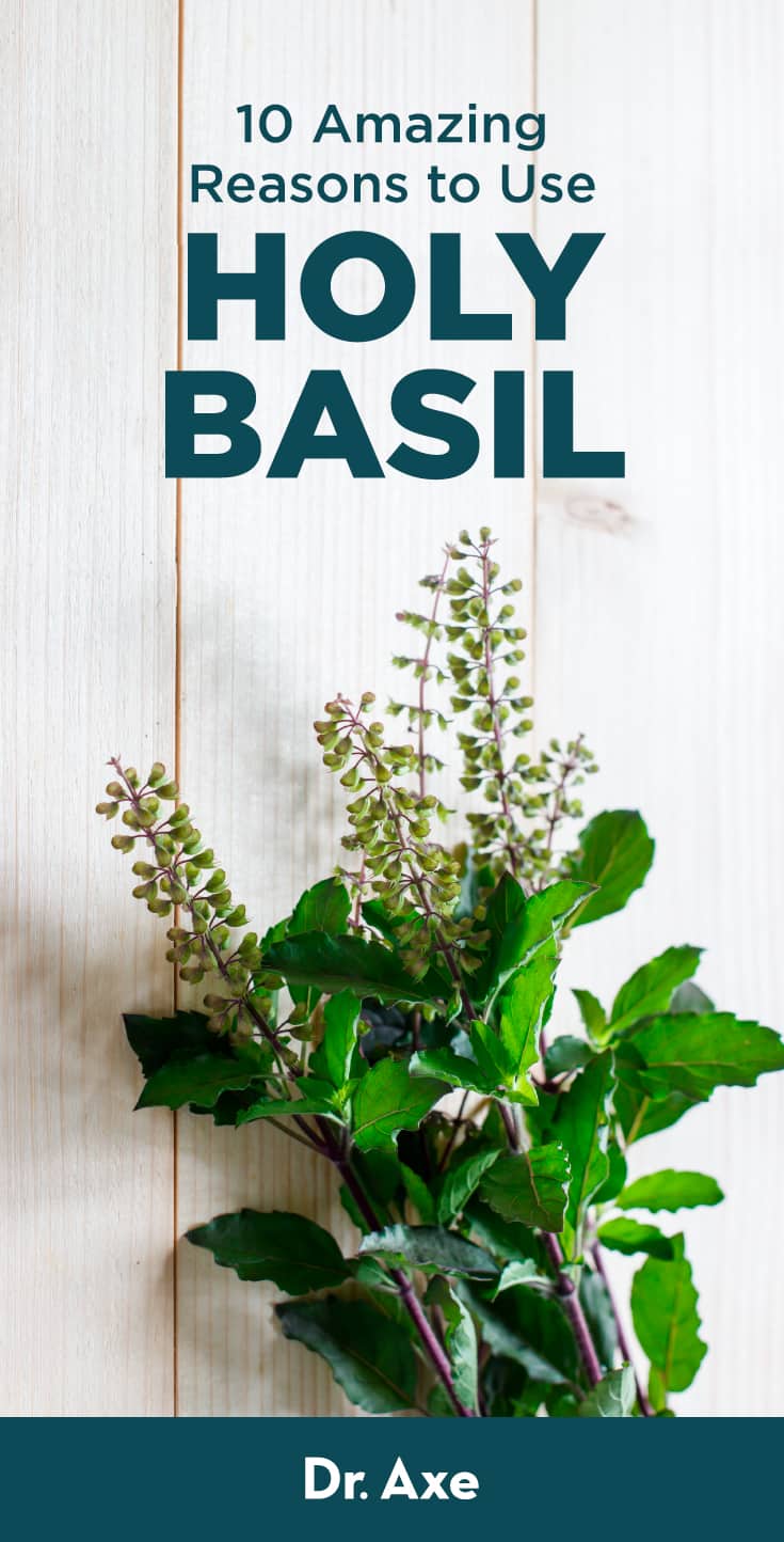 Holy Basil Benefits, Uses, Side Effects and Interactions Dr. Axe