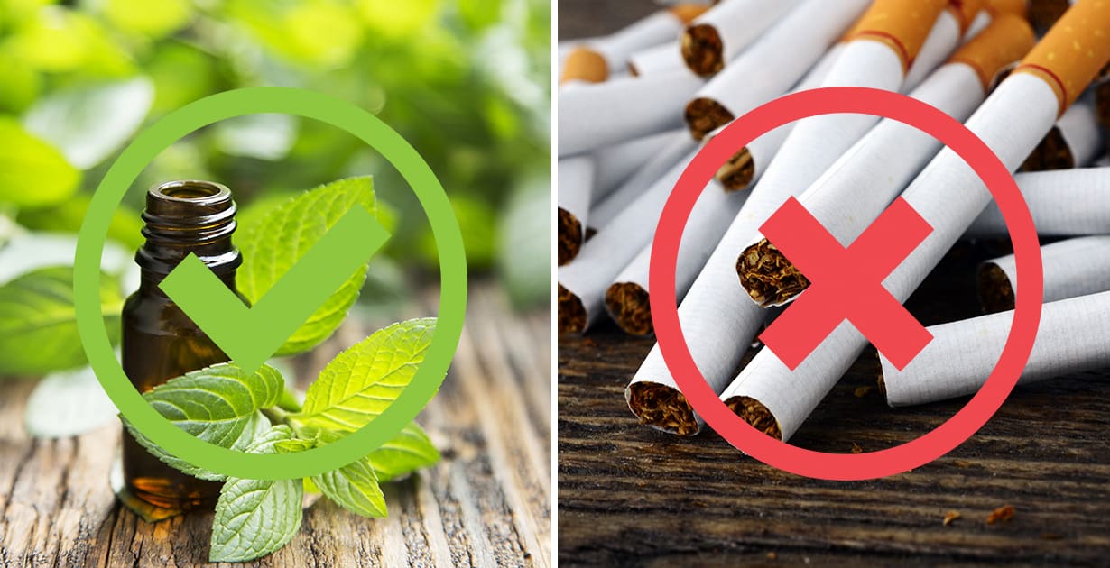 Is Menthol Bad for You? Uses, Benefits and Side Effects Dr. Axe