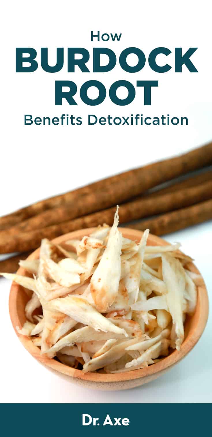 Burdock Root Benefits, Uses, Side Effects, Supplements Dr. Axe