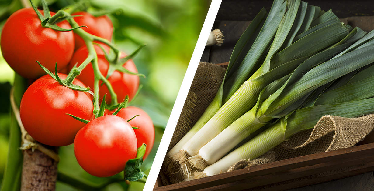 Oligosaccharides Benefits, Foods, Definition and More Dr