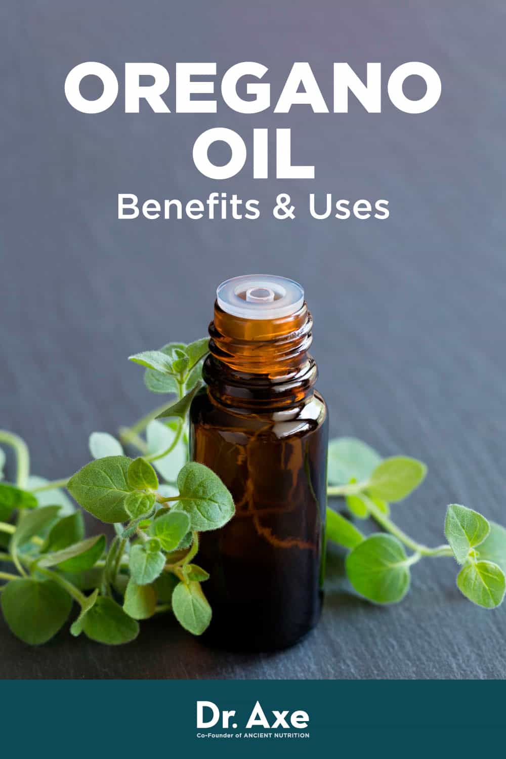 Oregano Oil Benefits and How to Use Dr. Axe