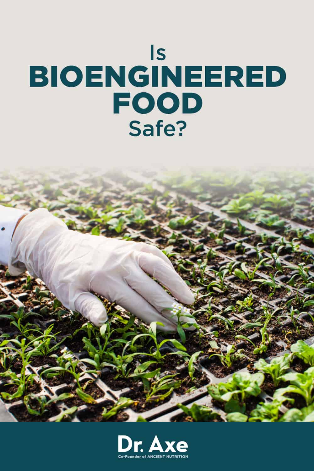 What Is Bioengineered Food? New Laws, Risks (Plus vs. GMO) Dr. Axe