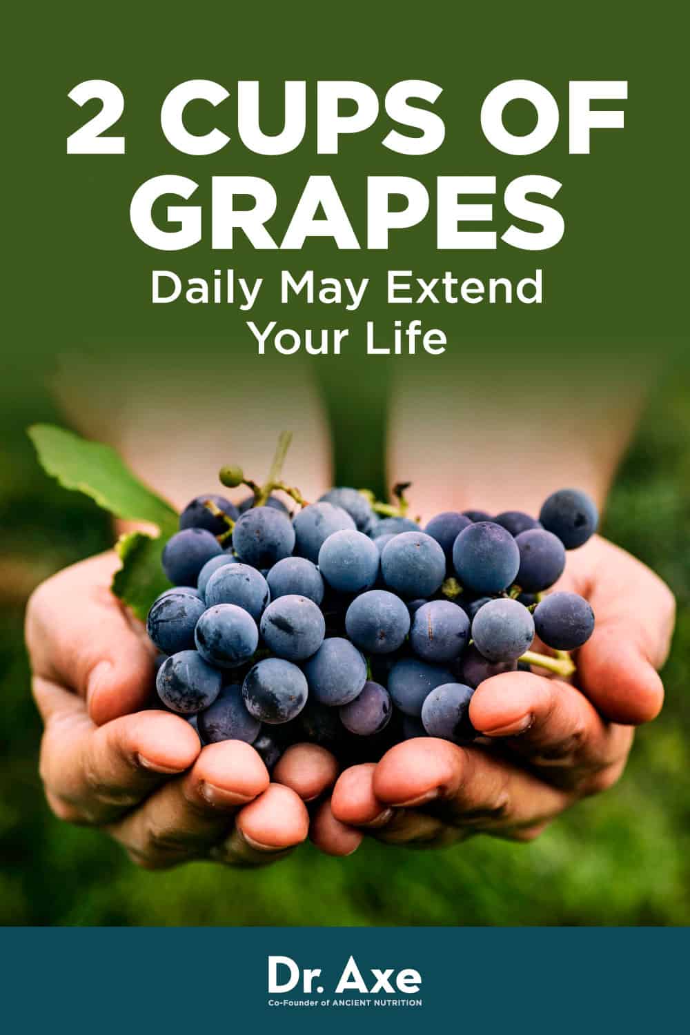 Study Findings Suggest Eating Grapes for Longevity Dr. Axe