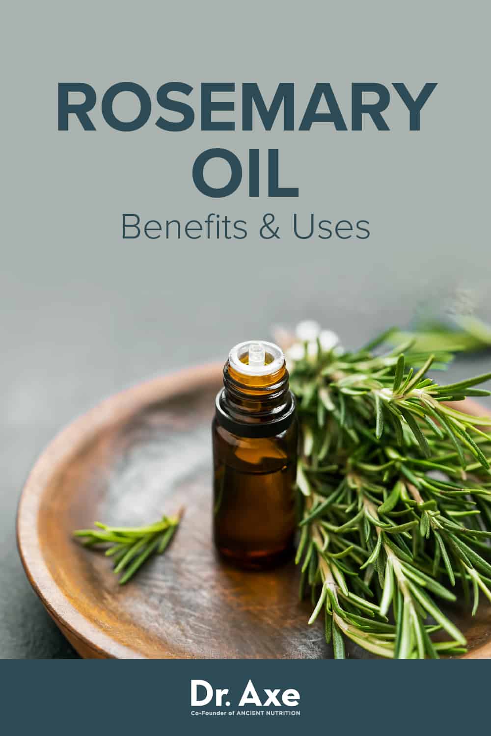 Rosemary Oil Benefits and Uses, Including for Hair Loss Dr. Axe
