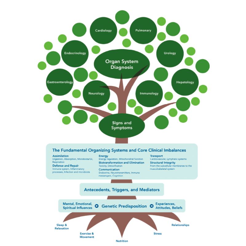 Functional Medicine Services Dr. Beth Bartlett