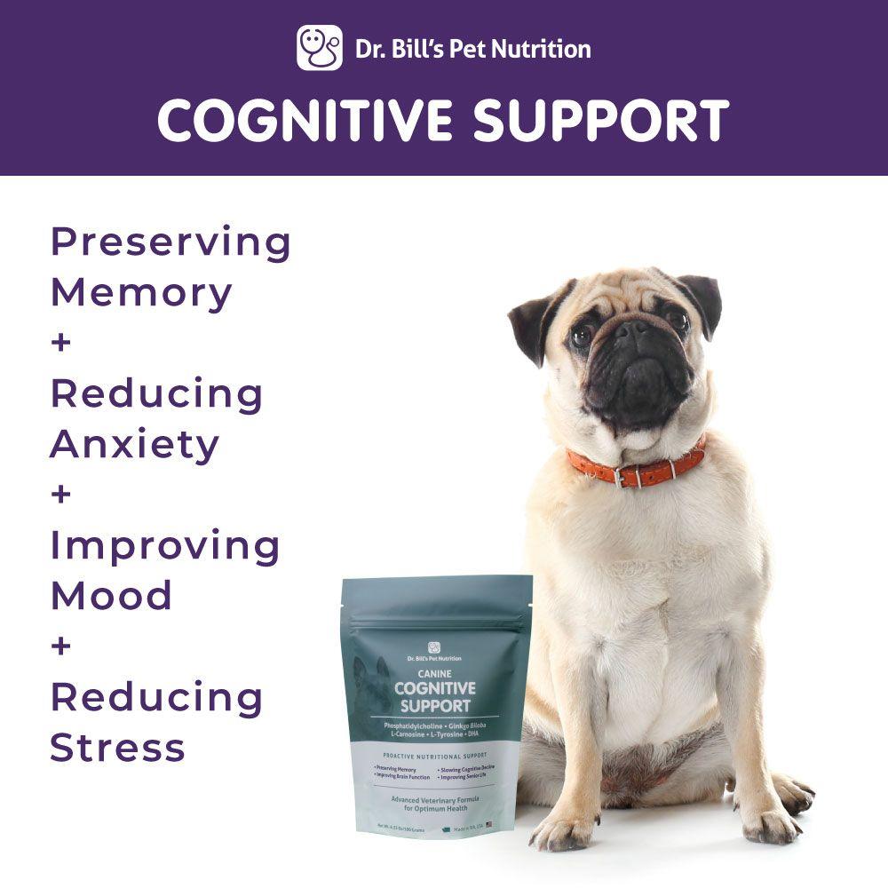 Dog Brain Supplements