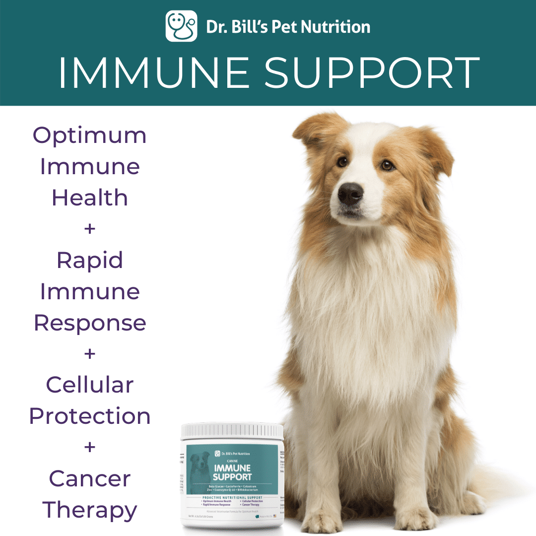 Canine Immune Support Supplement Dog Health Dr. Bill's Pet Nutrition
