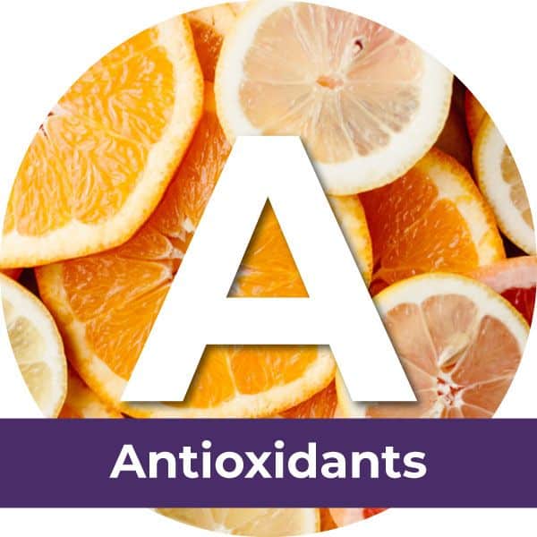 Antioxidants Ingredients Dr Bill’s Pet Nutrition