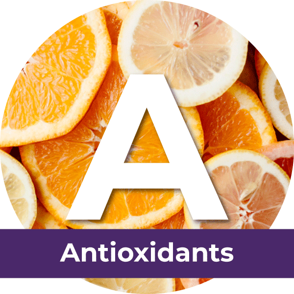 Dr. Bill's Pet Nutrition Naturally Superior Dog & Cat Supplements