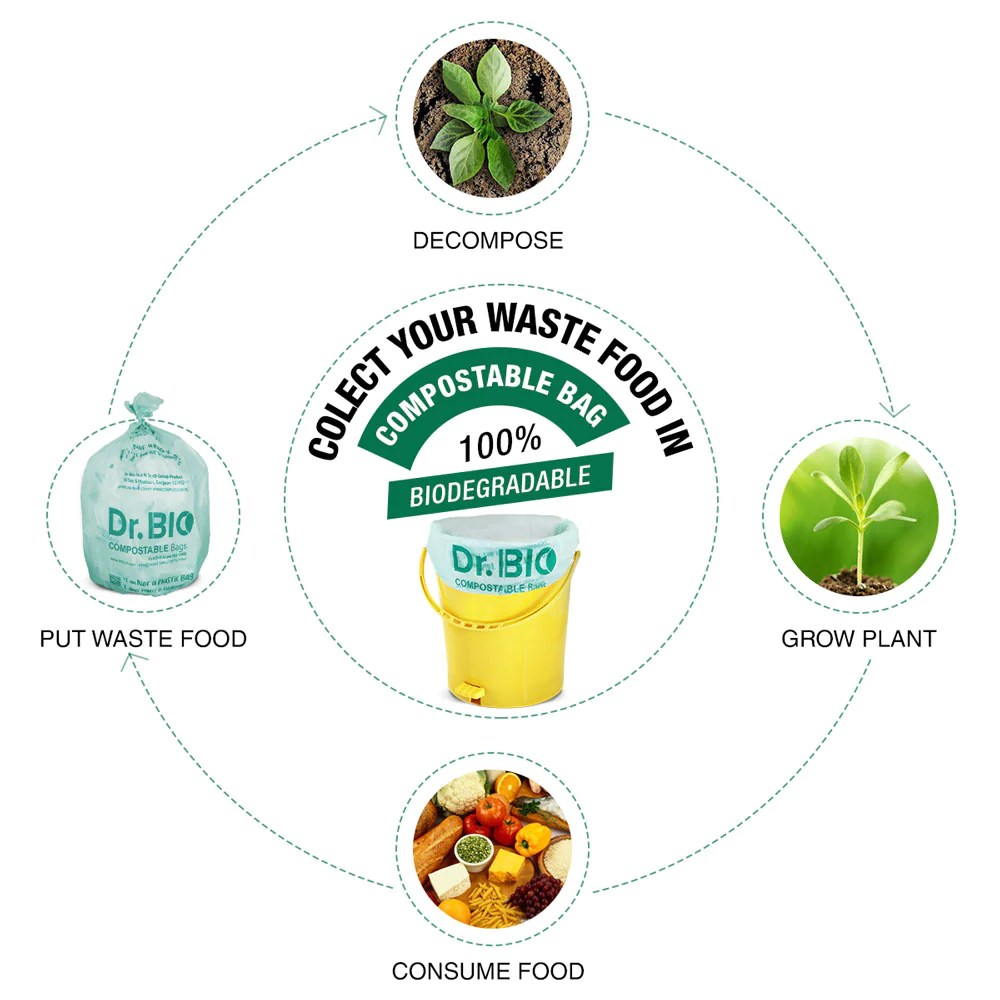 Understanding the Environmental Impact of Biodegradable and Products Dr. Bio