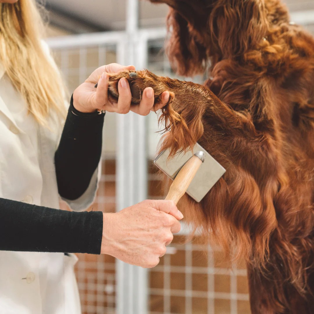 Fur & Coat Care Drby Pet Co.