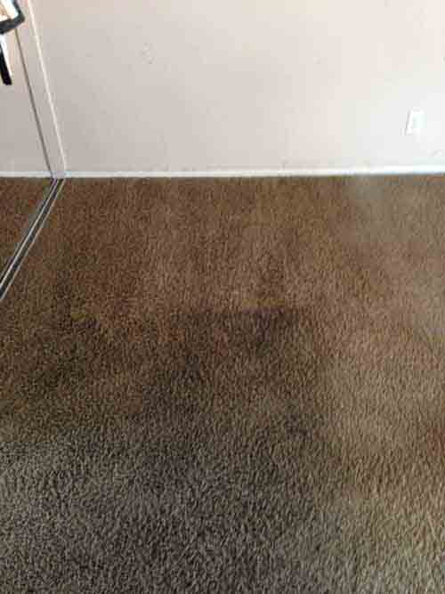 Carpet Cleaning Tustin Dr. Carpet Orange Carpet cleaning service in