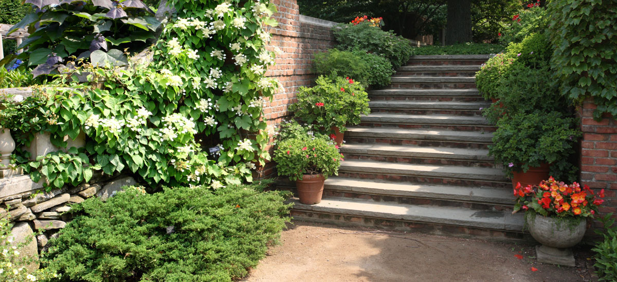 Dr. Jeffrey Chalfant Psychiatry Belleville, IL.