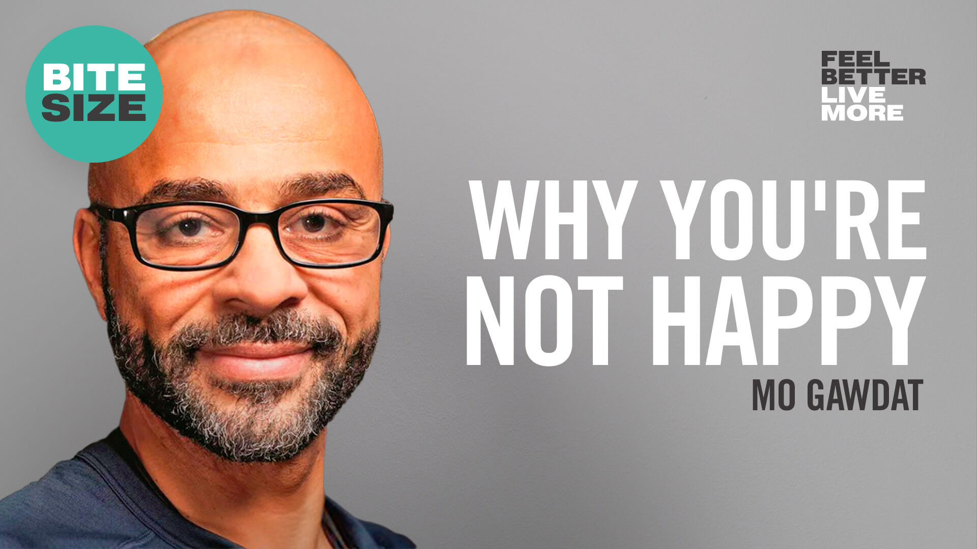 BITESIZE How to Happier Today Mo Gawdat Dr Rangan Chatterjee