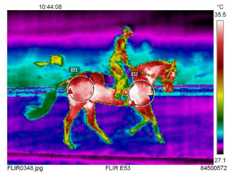 New research highlights potential for infrared thermal imaging to