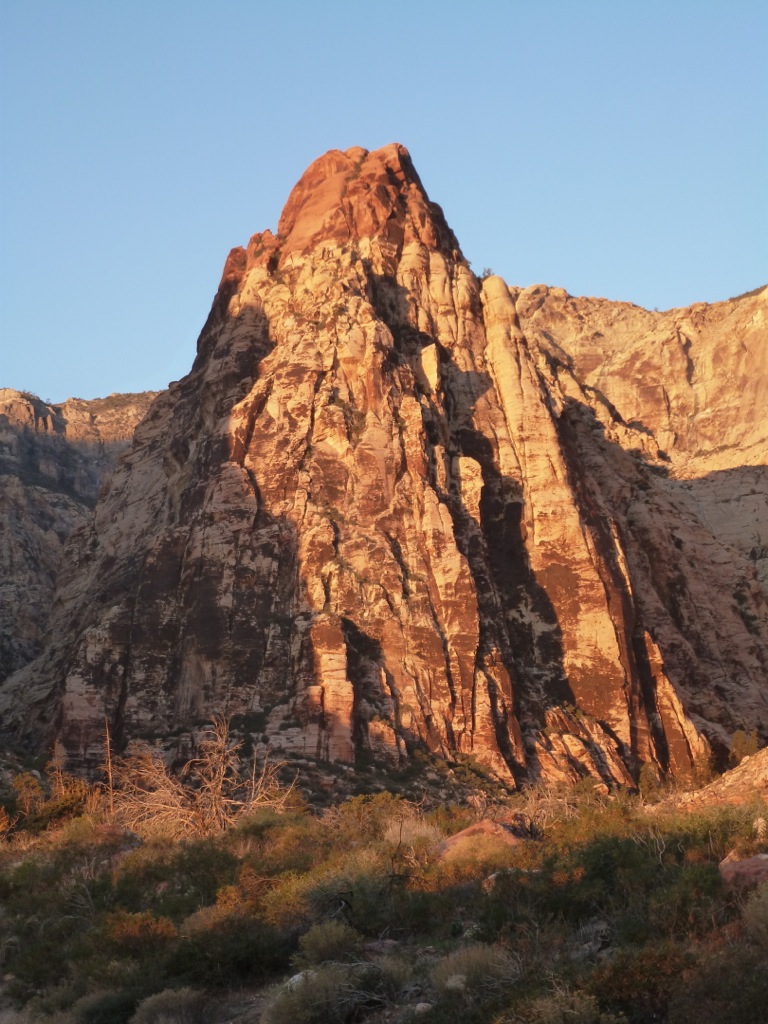 mescalito01 Dr. Dirtbag