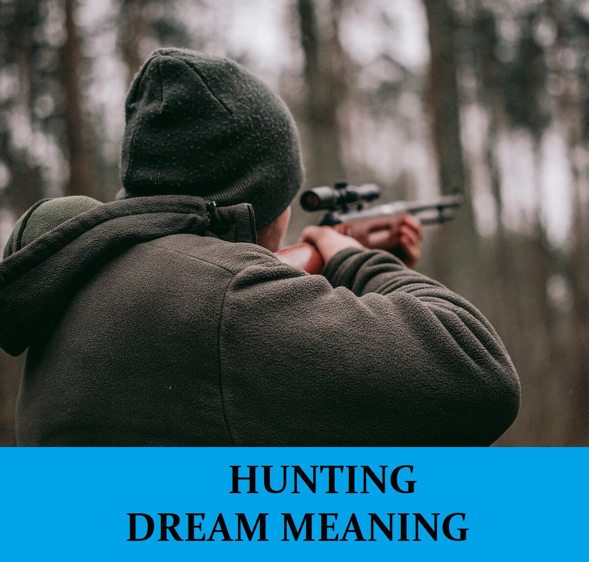 Gun Dream Meaning Top 24 Dreams About Guns Dream Meaning Net