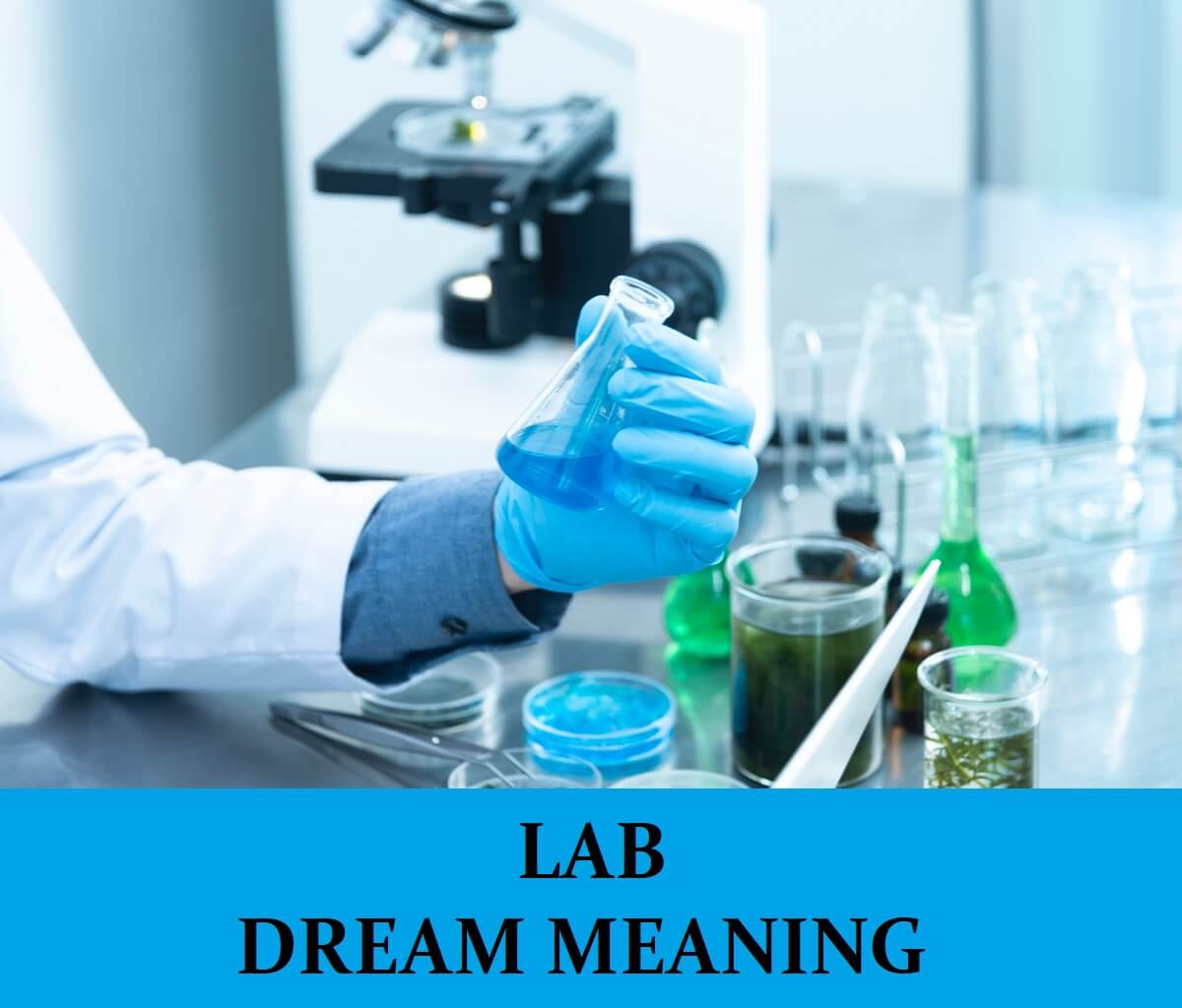 Laboratory Dream Meaning Top 15 Dreams About Lab Dream Meaning Net