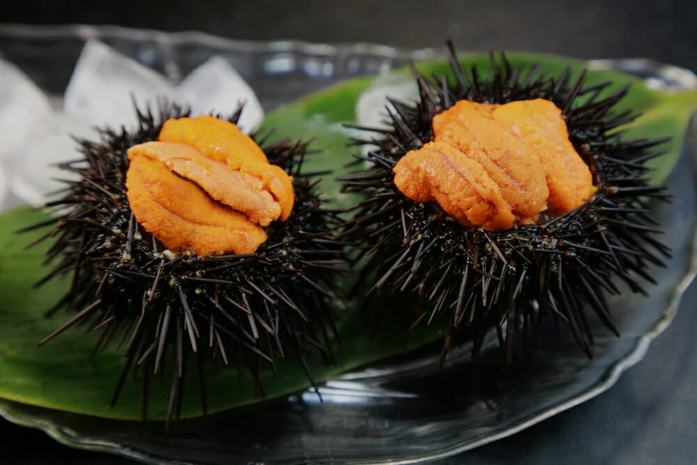うに（ウニ：海栗）の値段[価格]の相場と旬や栄養成分は？ おかずキッチン