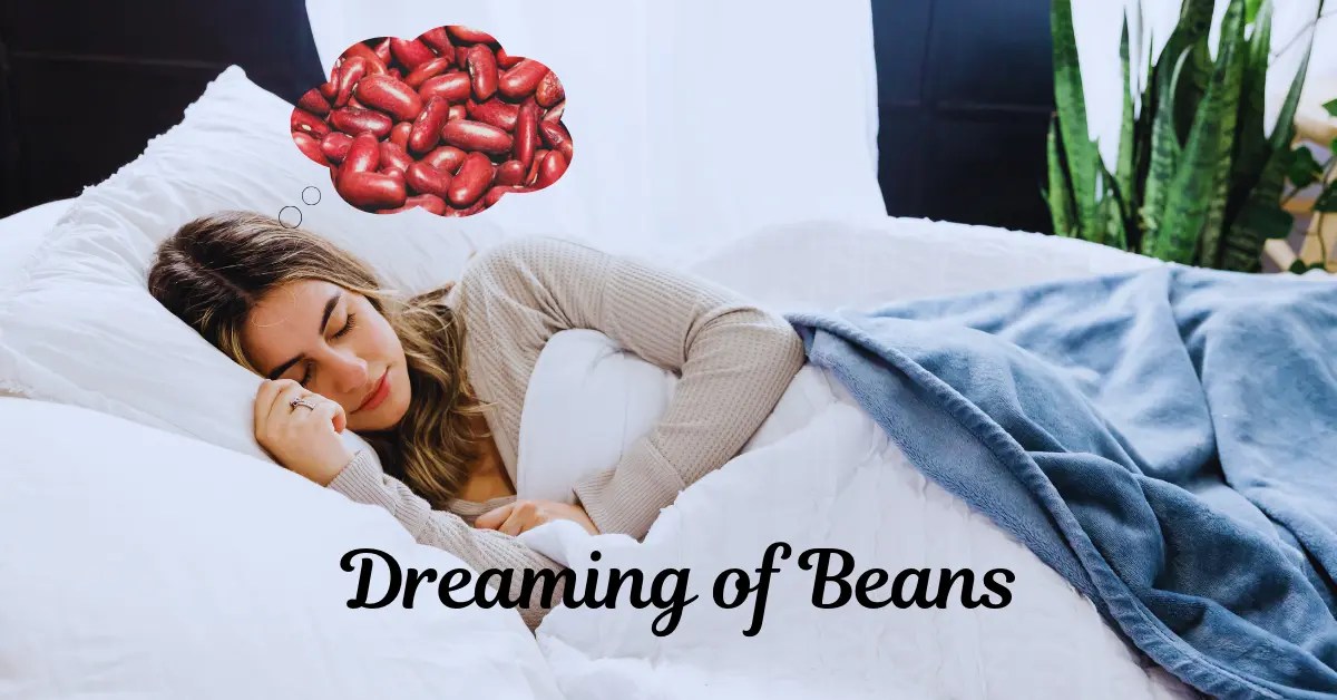 Dreaming Of Beans Exploring Meanings And Symbolism