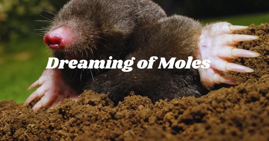 Dreams Of Moles A Subliminal Exploration Dream Cano