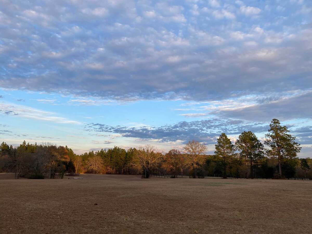 Dreamcatcher Farm Unwind in Your Tranquil Aiken Retreat