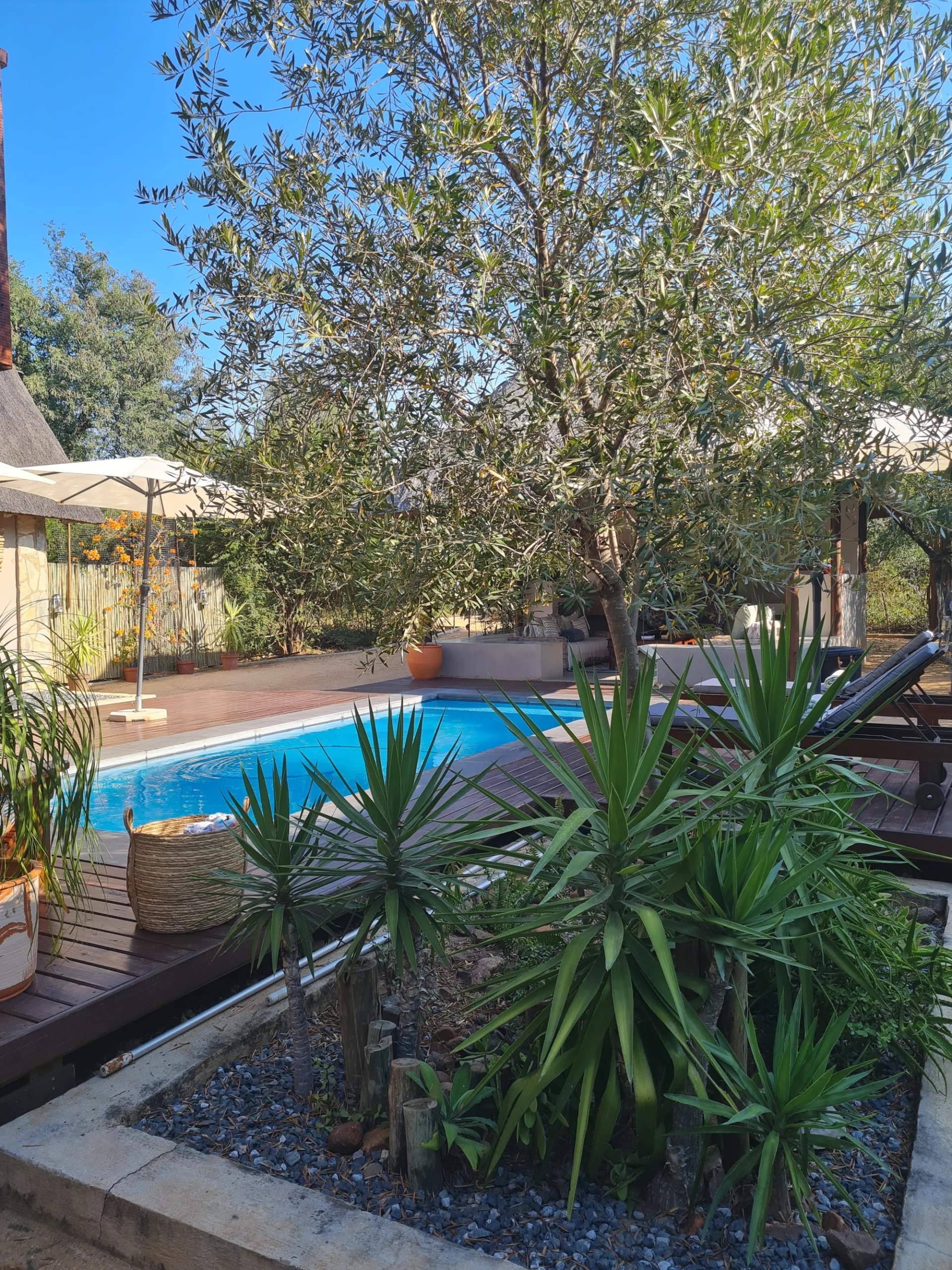 Gallery The Dreamcatcher Lodge