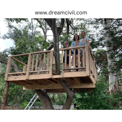 Explore the wonder of tree houses From their history to their impacts