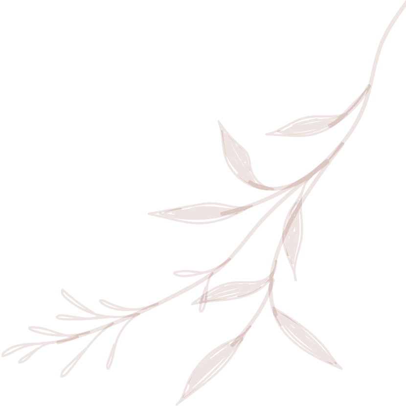 Salon, Massage, and Spa Services in Westport, CT Dream Spa & Salon