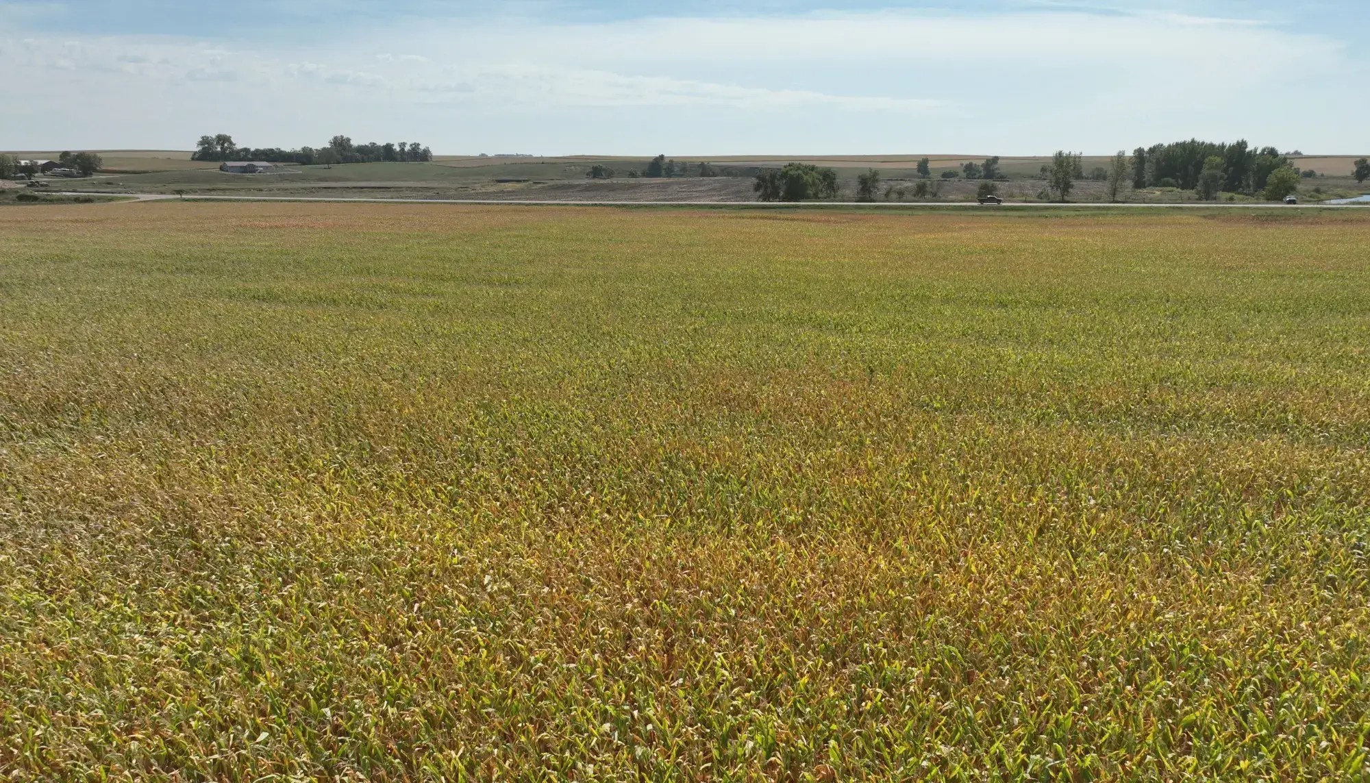 76.03Acre Farmland For Sale in Lyon County, Iowa DreamDirt