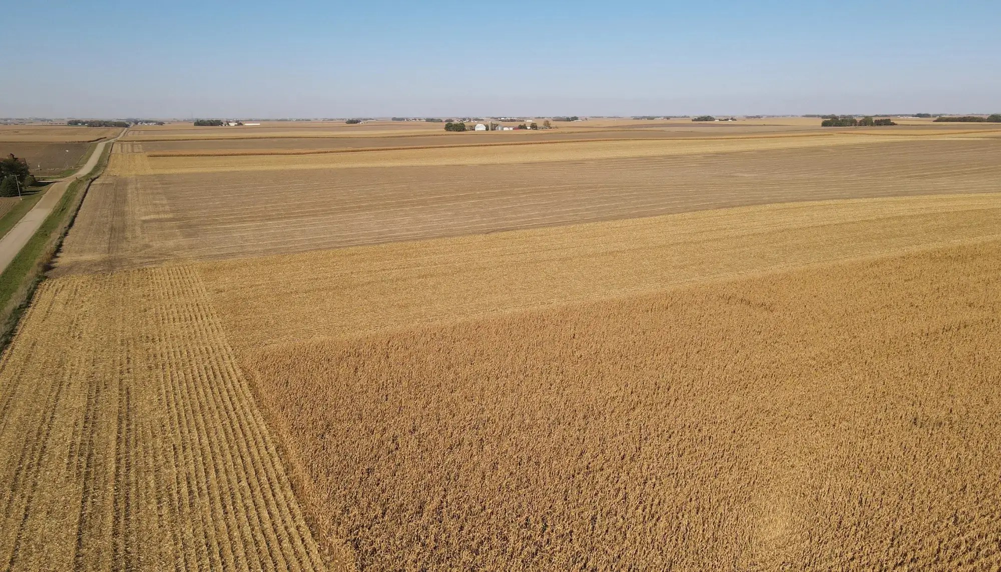 81.81 Acres of Farmland For Sale in Sioux County, IA