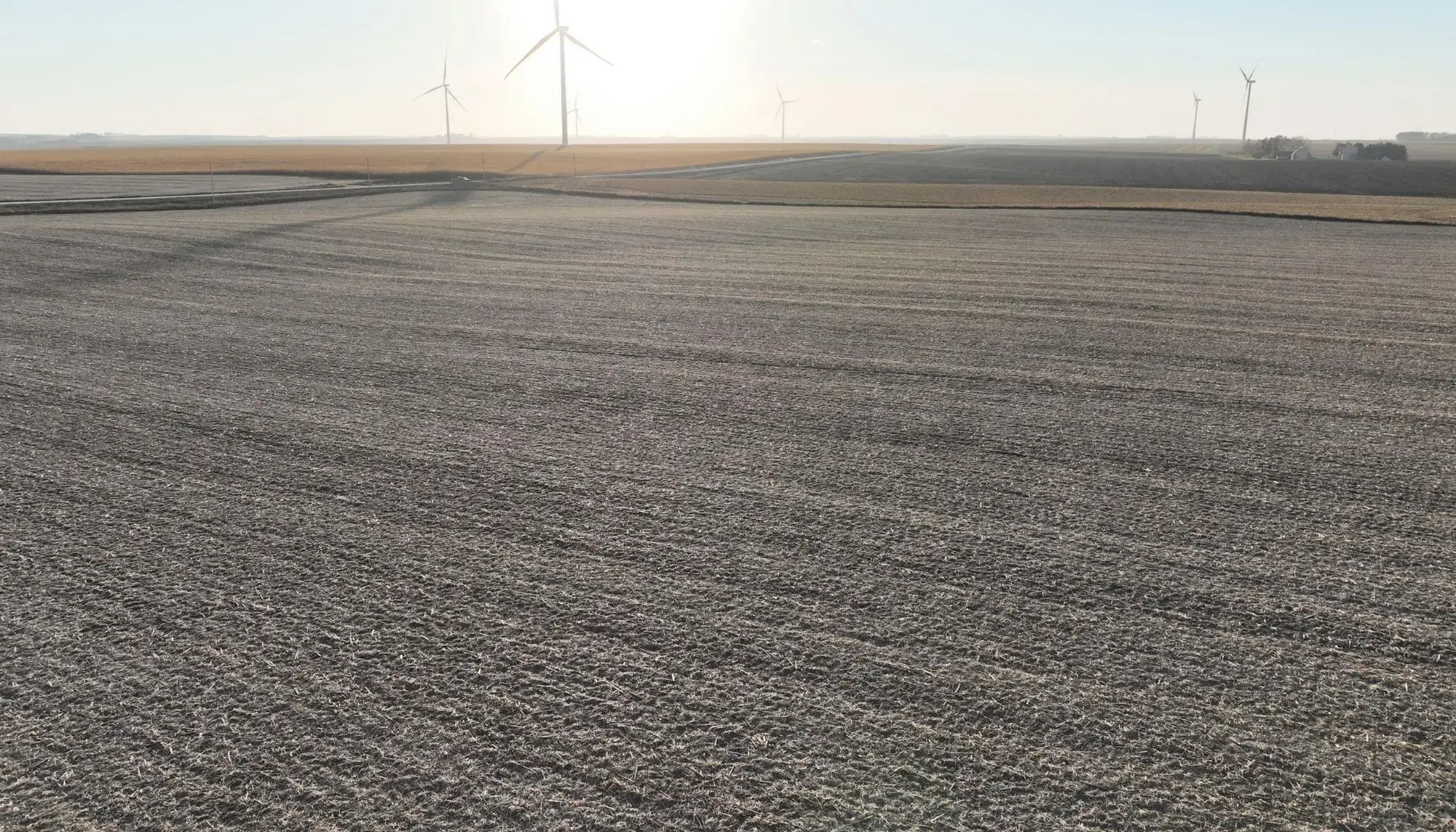 147.95 Acres of Farmland For Sale in Sac County, Iowa