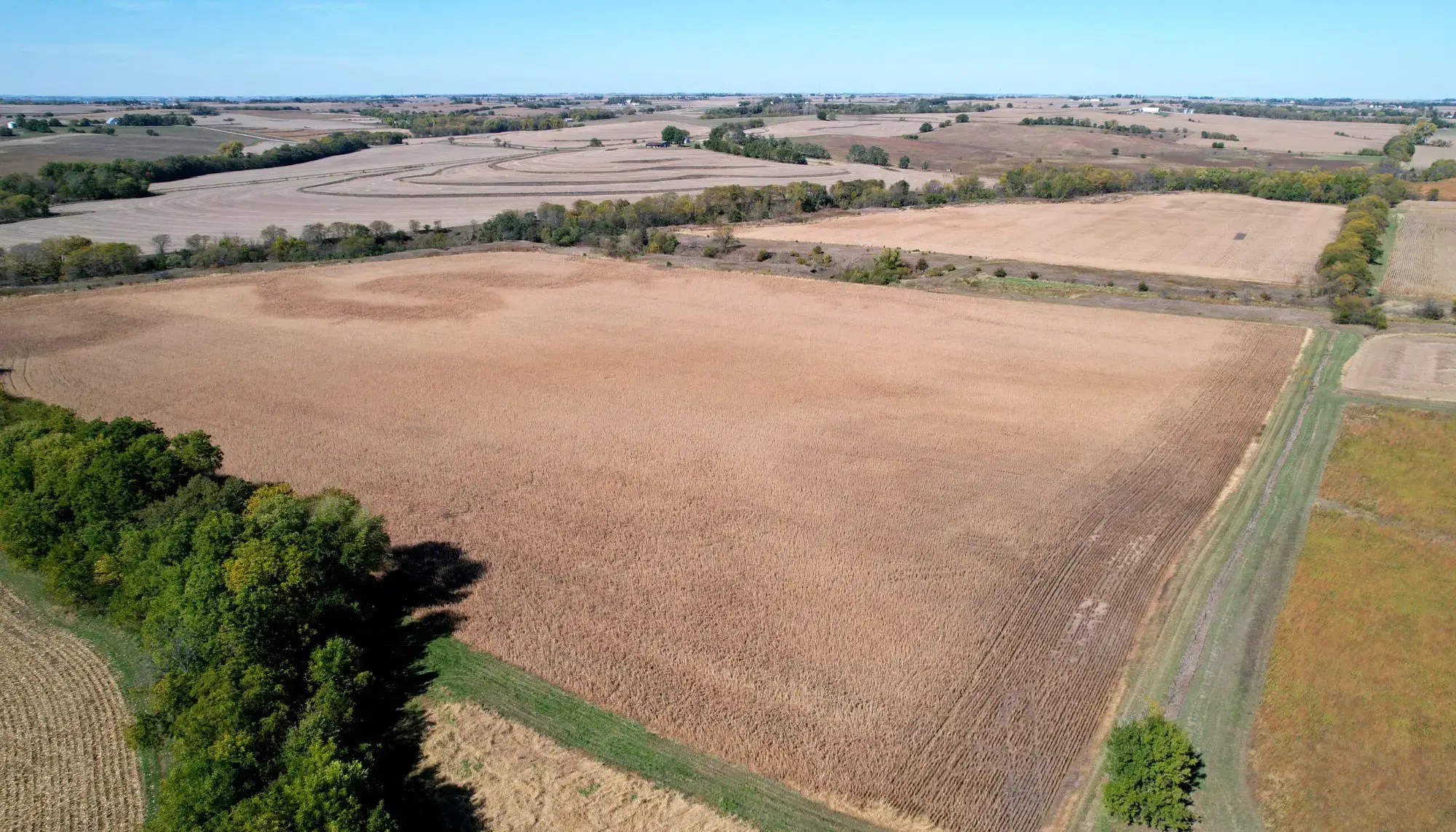 233.6 Acres of Farmland For Sale in Page County, Iowa