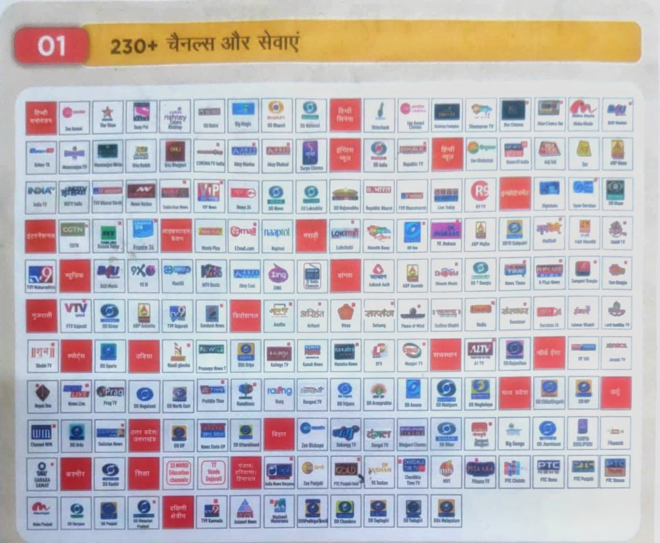 Zing Super FTA box allowing free dish viewers to access pay channels at