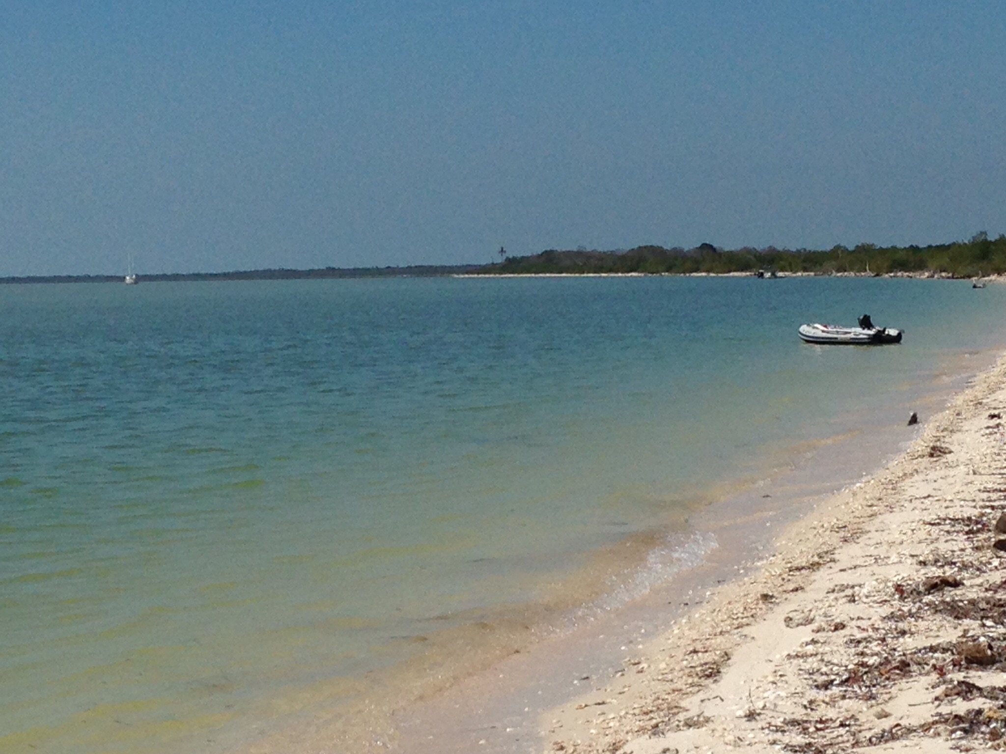 Cape Sable and the Florida Everglades, Yes! There are Alligators! S/V