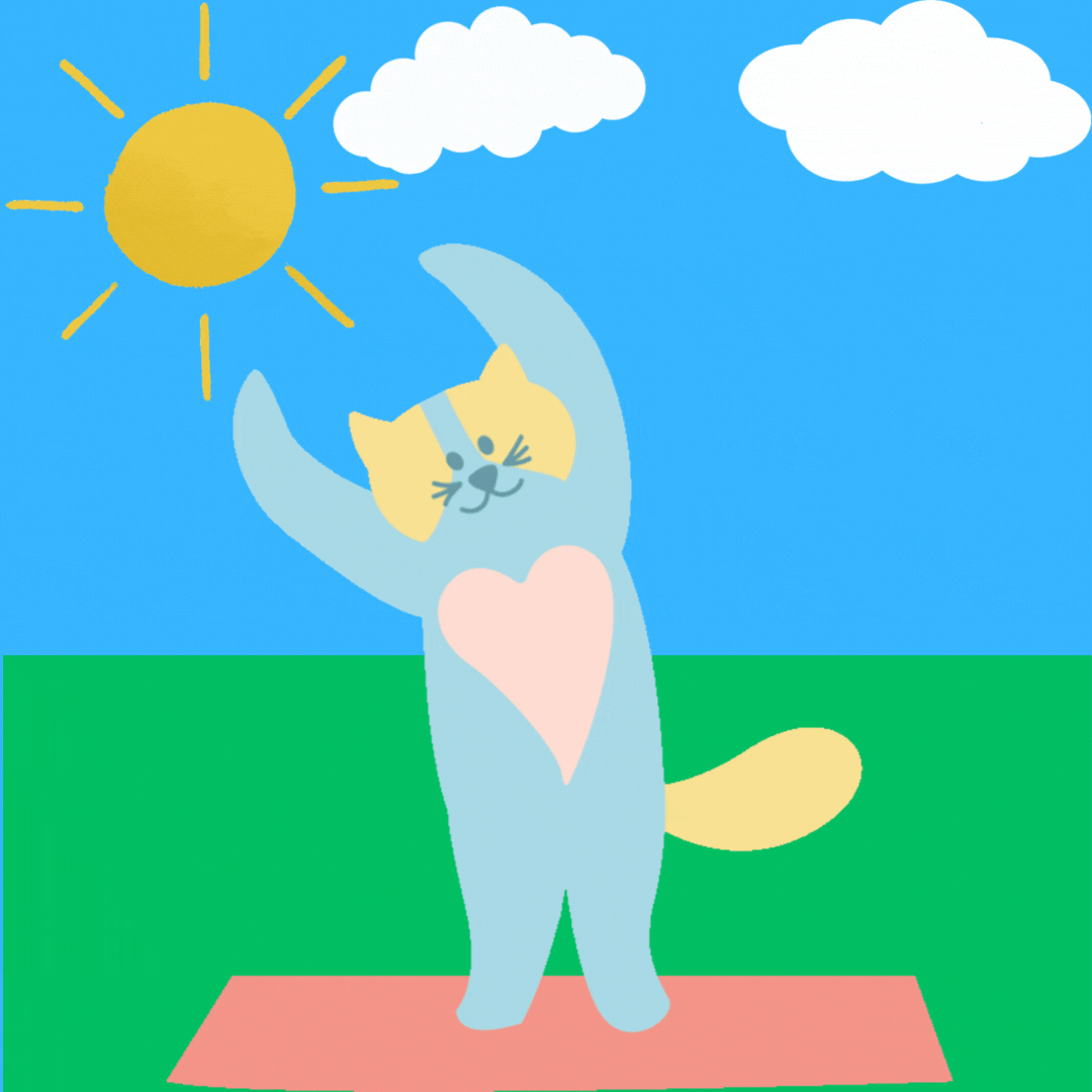 catstretch The Dream Foundry