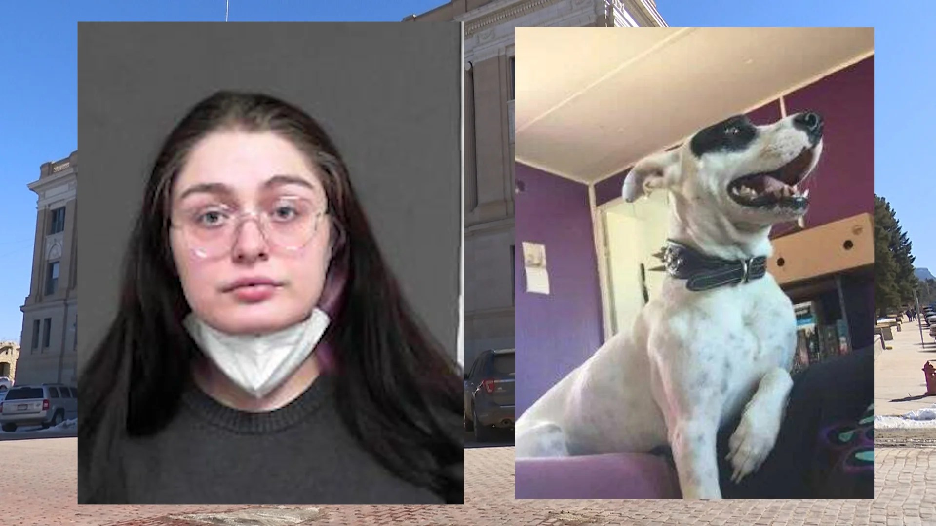CO Woman Charged With Child Abuse After Her Dog Attacked 4YO