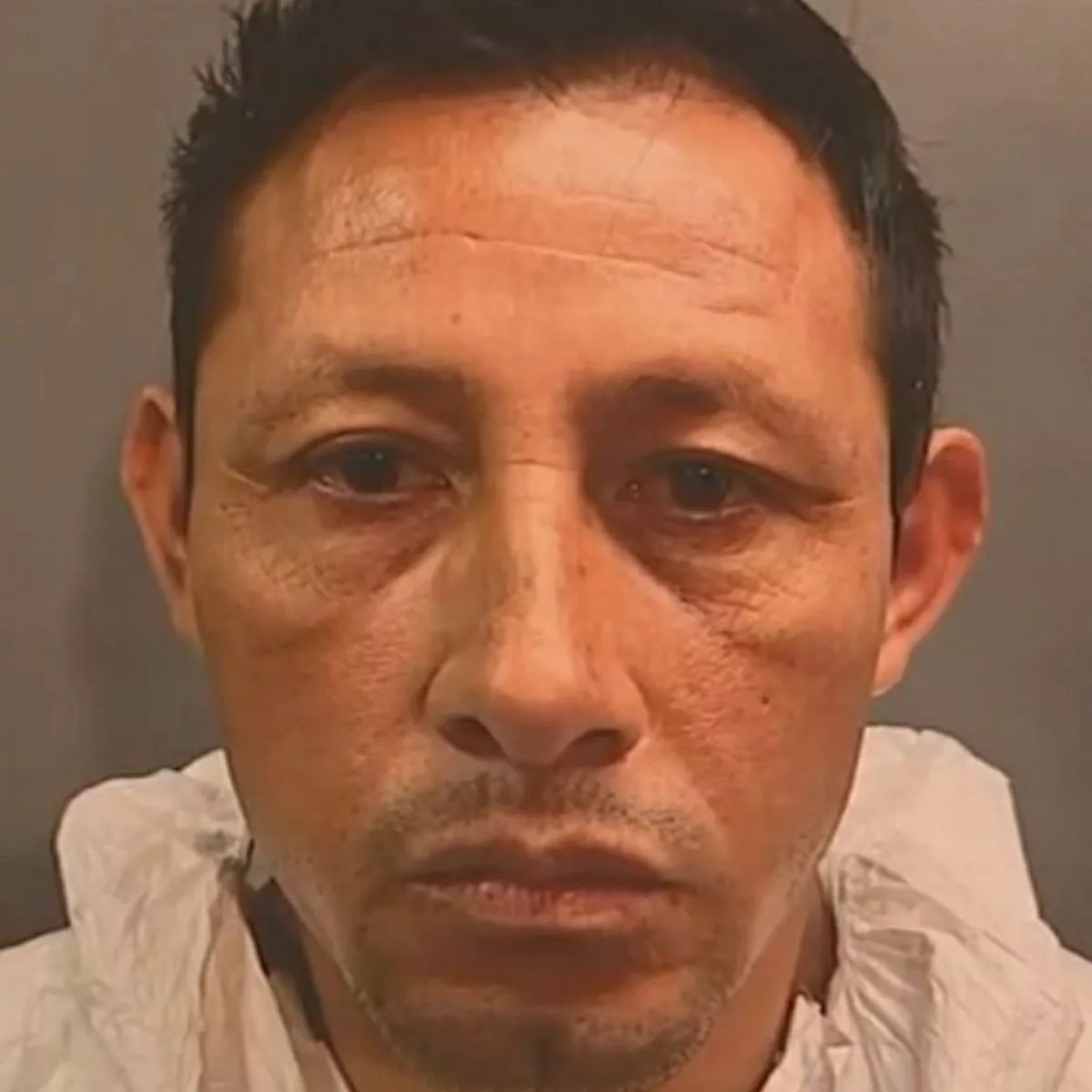 Mother stabbed to death one day after order of protection against child