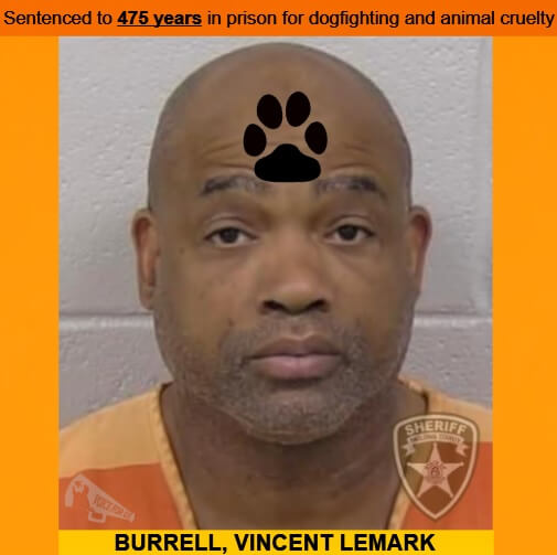 Sentenced Man Gets 475 Years After 100 Malnourished Pit Bulls Found