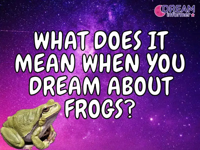 What Does It Mean When You Dream About Frogs? Dream Informer