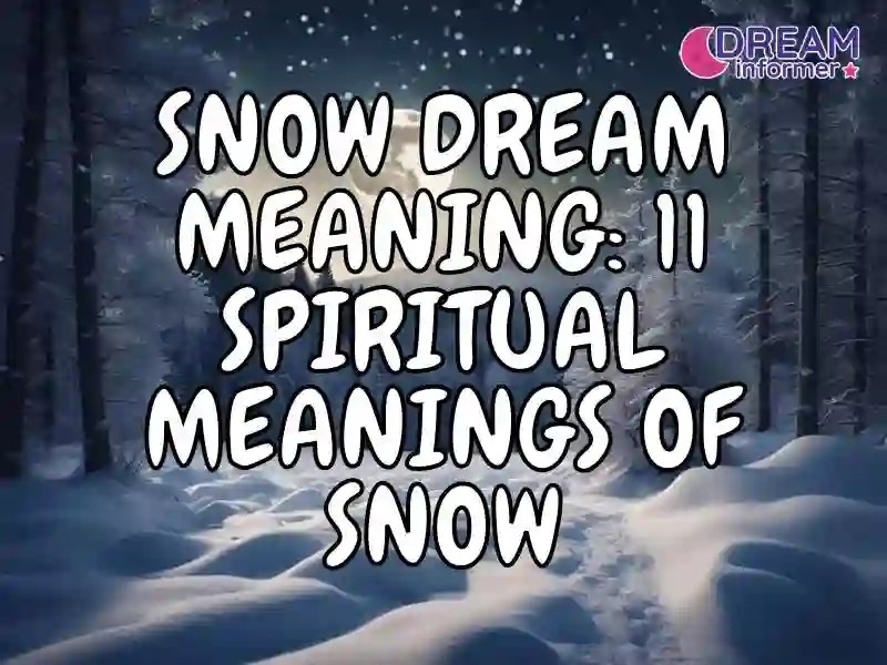 Snow Dream Meaning 11 Spiritual Meanings Of Snow Dream Informer