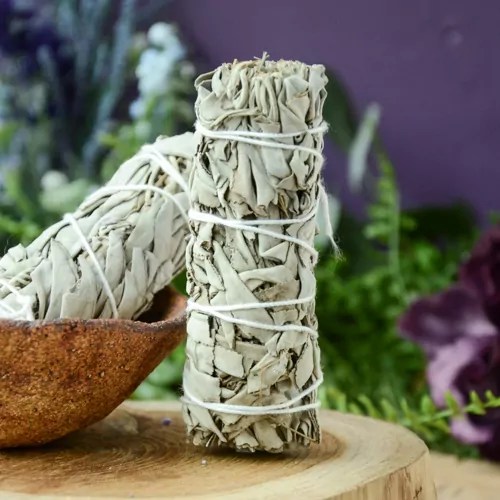 White Sage Bundle at the Dreaming Goddess