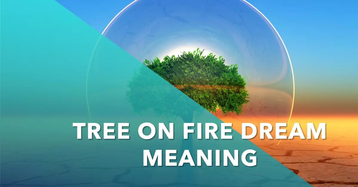 Tree On Fire Dream Meaning Spiritual Dreaming
