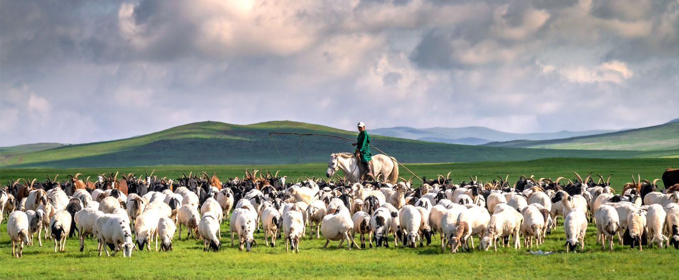 Mongolia Tour Mongolia Tour Operator & Mongolia Travel Agency