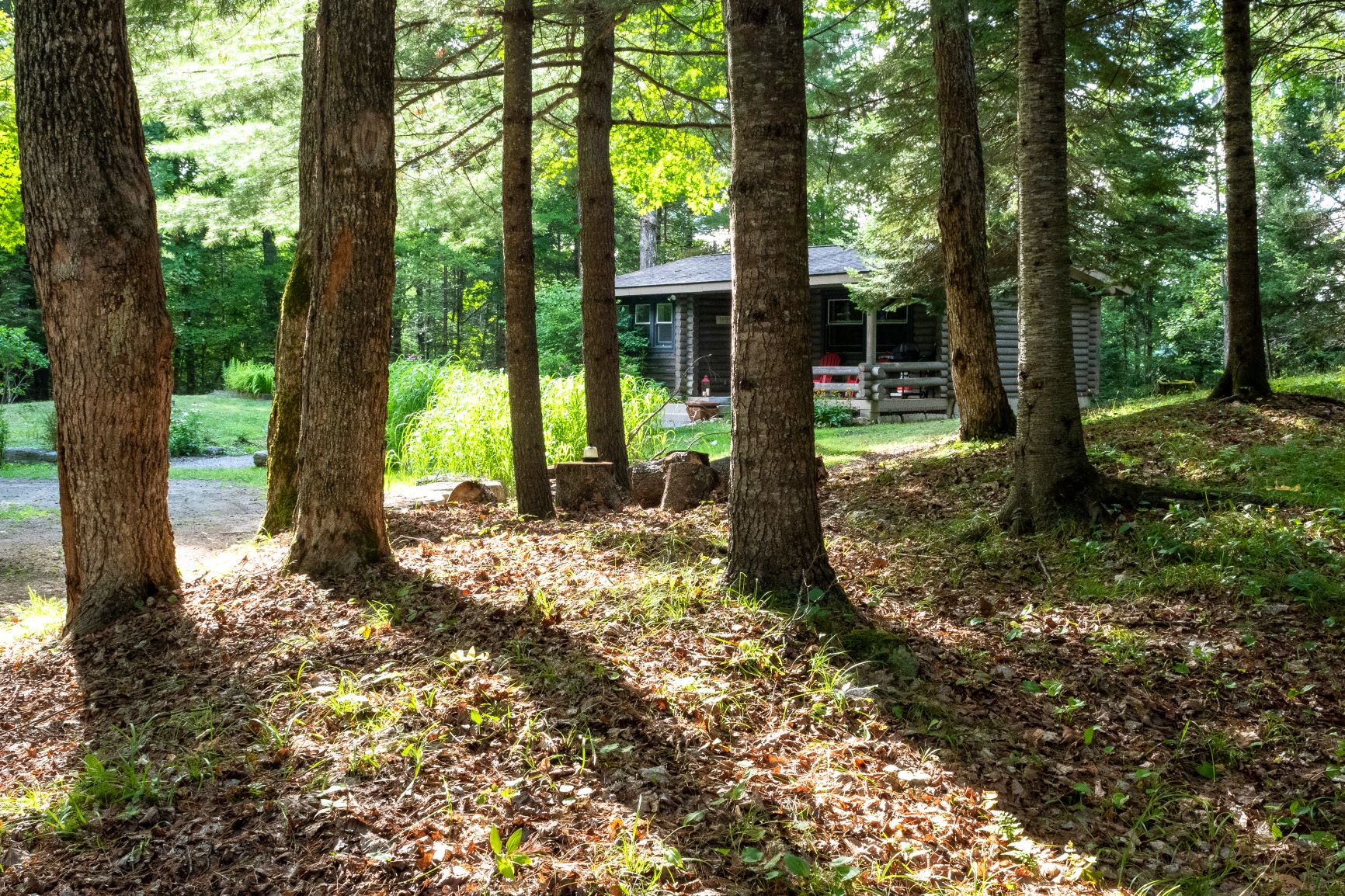 Haliburton Highlands Archives • Dream Plan Experience